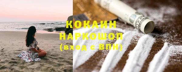 трава Бородино