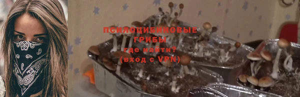 трава Бугульма