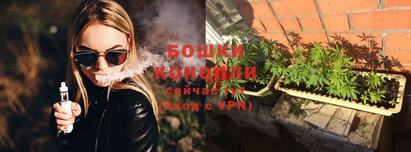трава Бородино