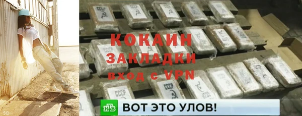 трава Бородино
